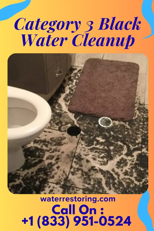 Category 3 Black Water Cleanup in Bessemer Bend, WY